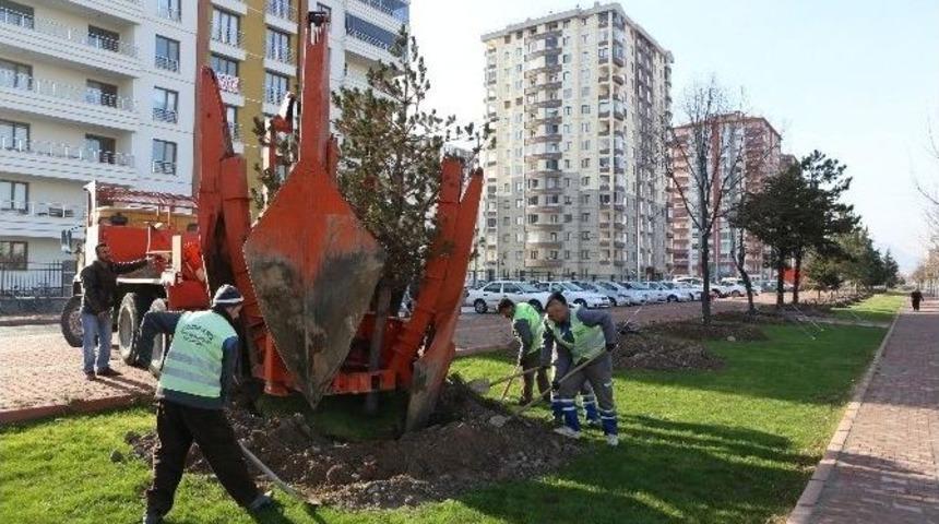 B&uuml;y&uuml;kşehir Kesmiyor