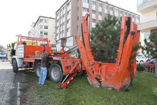 Büyükşehir Kesmiyor