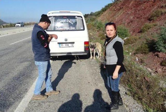 Kangala Zincirli Eziyet Yapan Sürücü Cezasız Kalmadı