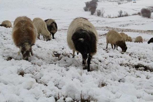 Kar, Doğu'da Yolları Kapattı