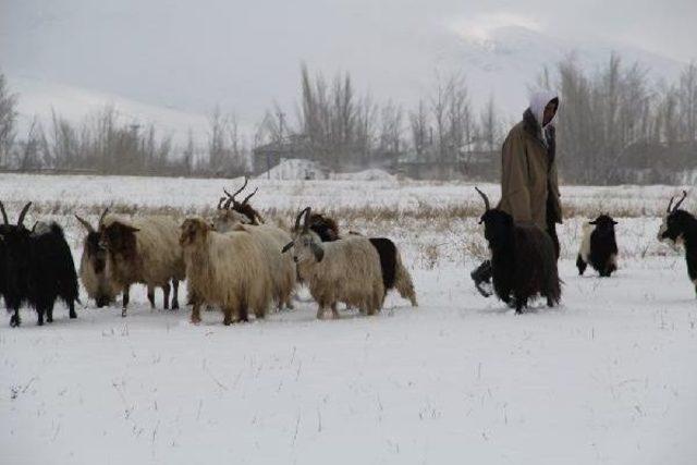 Kar, Doğu'da Yolları Kapattı