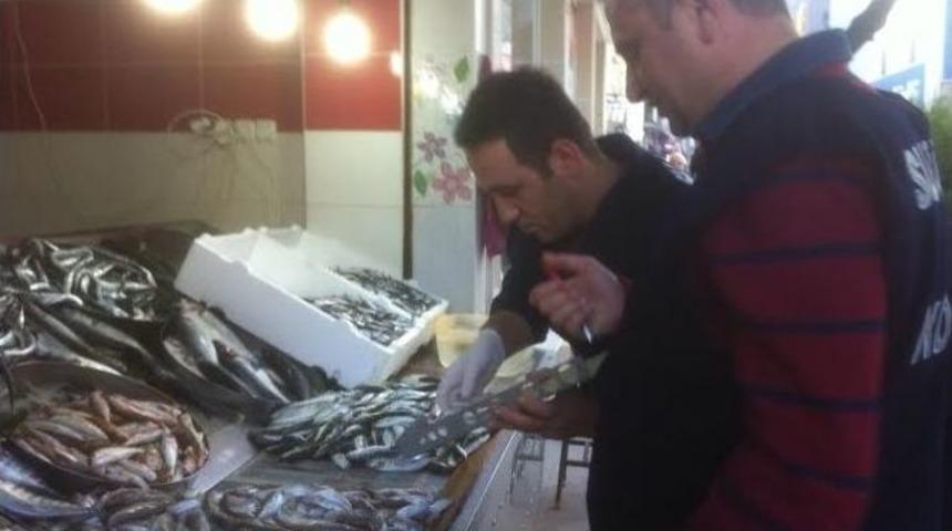 Balık&ccedil;ılara Eş Zamanlı Denetim