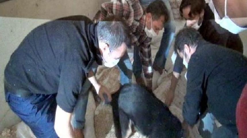 Saman &Ccedil;uvallarından 115 Kilo Esrar &Ccedil;ıktı