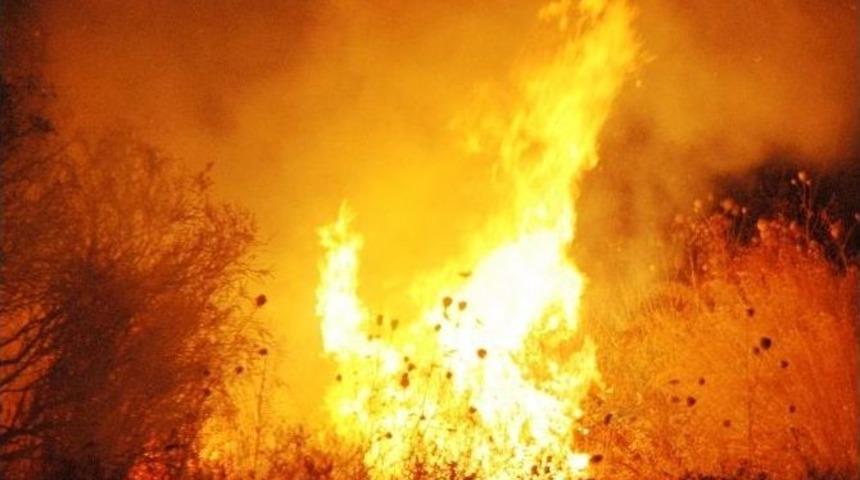 Otluk Arazi K&uuml;le D&ouml;nd&uuml;