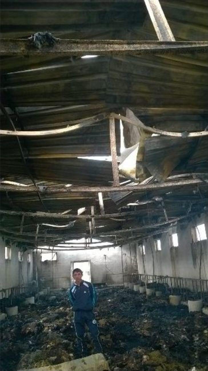 Kaçak Elektrik 230 Koyunu Yaktı G5