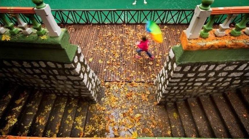 Sonbahar Fotoğraf Yarışması Sonu&ccedil;ları A&ccedil;ıklandı