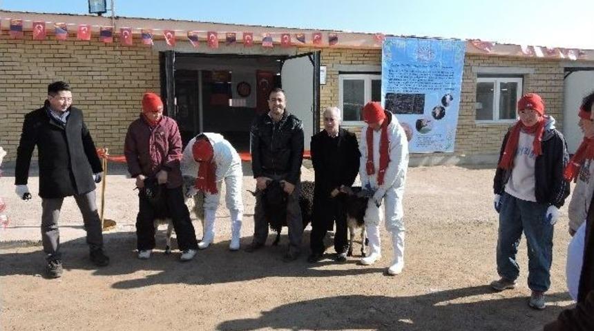 Tika&rsquo;dan Moğolistan&rsquo;a Helal Et Kesimi İ&ccedil;in Mezbahane