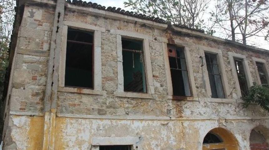 Metruk Binalar Balici Yuvası Oldu