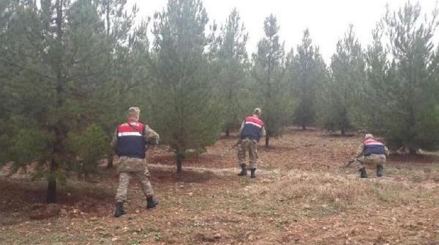 Kaybolan Gen&ccedil; 2 G&uuml;n Sonra Ormanda Bulundu