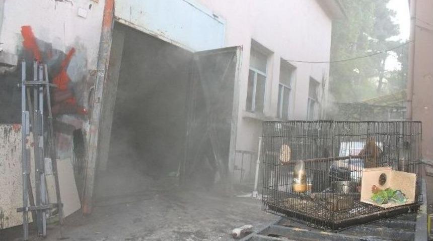 Yanan İş Yerinde &Ouml;len Kuşlarına Ağladı