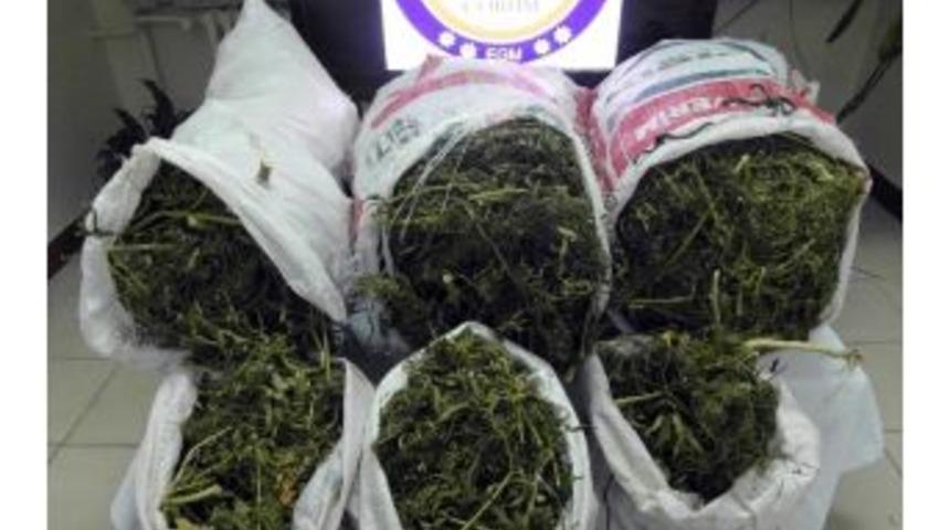 &Ccedil;orum Polisinden Uyuşturucu Operasyonu