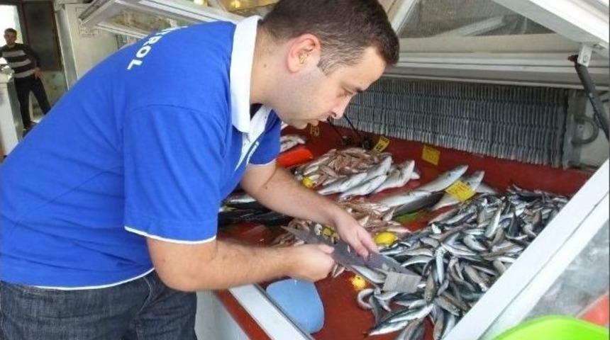 Burhaniye&rsquo;de Cetvelli Balık Denetimi