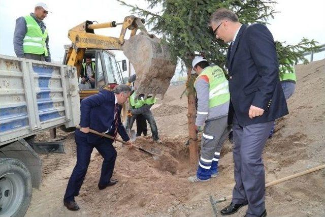 Kocasinan Şehrin Giriş Kapılarını Renklendirecek