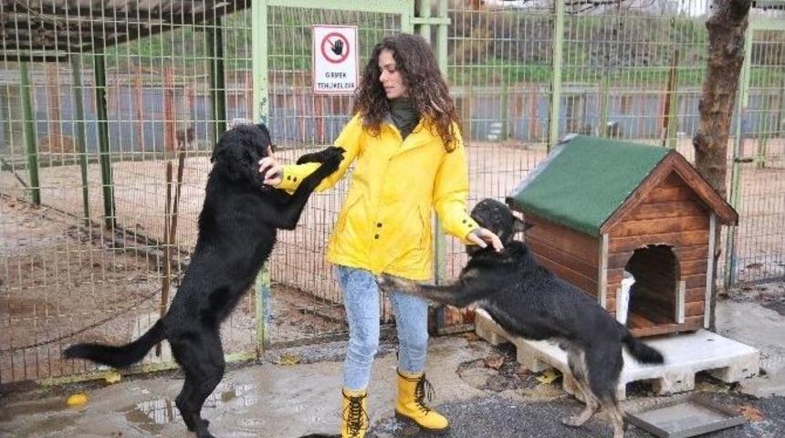 &Ouml;zge &Ouml;zpirin&ccedil;ci&rsquo;den &rsquo;&rsquo;satın Alma Sahiplen&rdquo; Projesine Destek