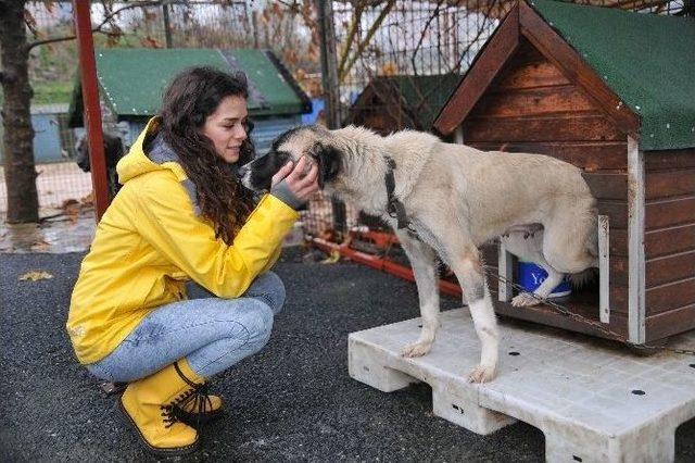 Özge Özpirinçci’den ’’satın Alma Sahiplen” Projesine Destek