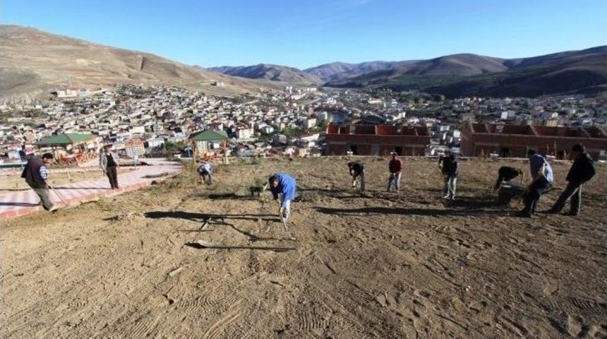 Park Ve Bah&ccedil;e &Ccedil;alışmaları Hız Kesmiyor