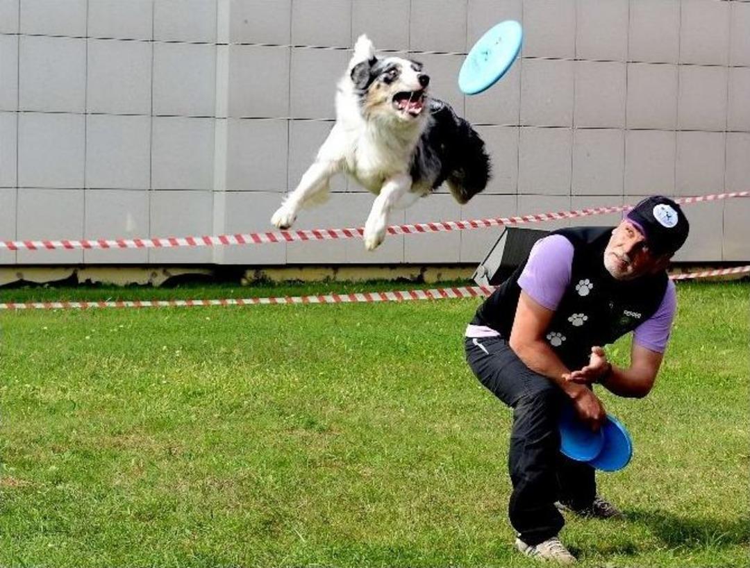 Pet İstanbul Fuarı 2014, A&ccedil;ılış Şovlarıyla B&uuml;y&uuml;ledi