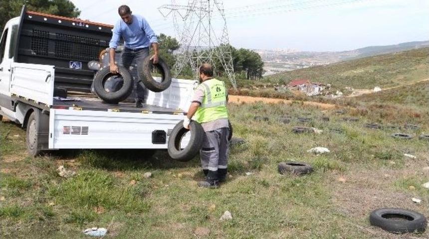 Ormandan Toplanan Lastikler Hayrete D&uuml;ş&uuml;rd&uuml;