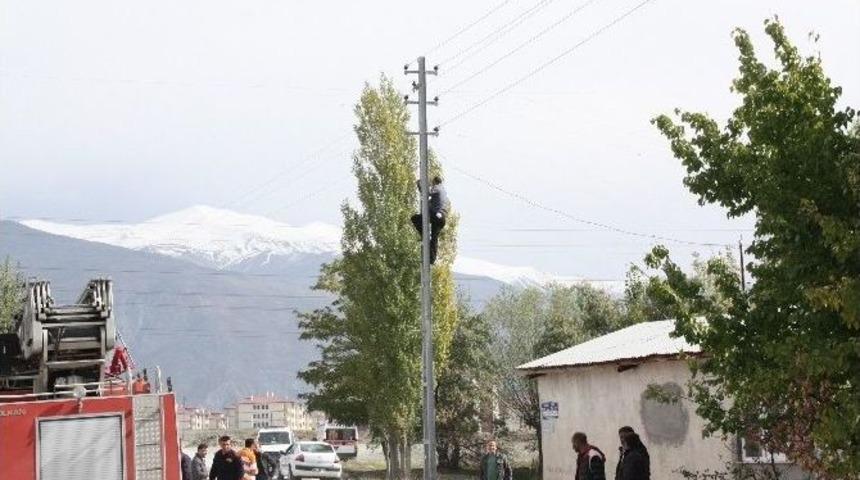 Erzincan Da Elektriği Kesilen Vatandaş İsyan Etti