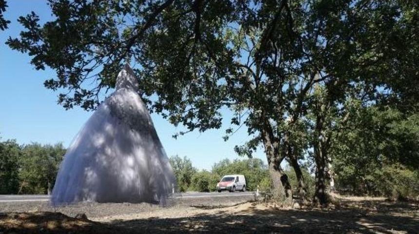 Yol Kenarında Ağaca Asılı Gelinlik Şaşırttı