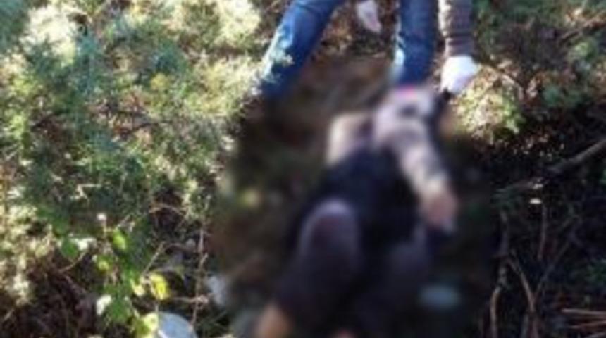 Ormanda Kaybolan Kadının Cesedine Ulaşıldı