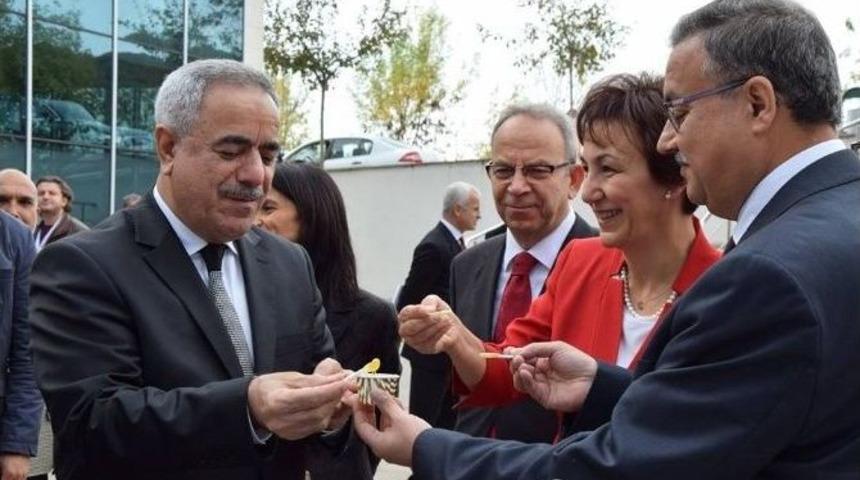 Arıcılık Ve Arı &Uuml;r&uuml;nleri Ar-ge Proje Pazarı