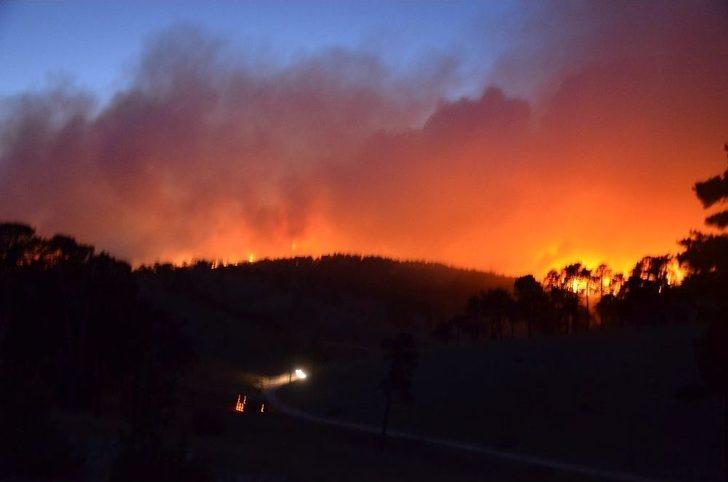 Başkan Bakıcı’dan Yangın Açıklaması G2