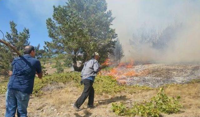 Sivas'ta Orman Yangını