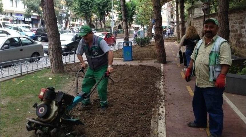 İzmit Yeşil Alanlarında Yoğun &Ccedil;alışma Var