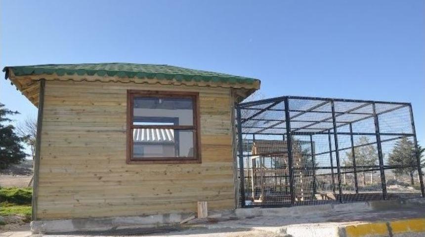 Uşak&rsquo;ta Kedilere Ev Yapıldı