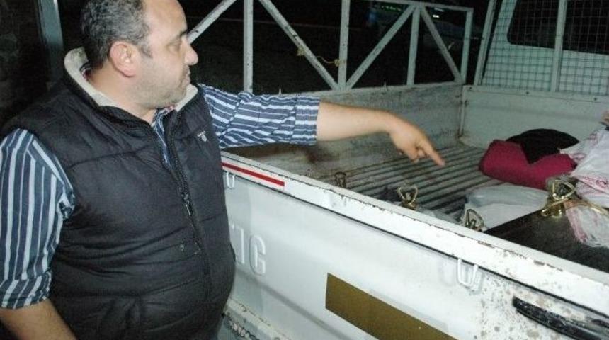 Antika Hırsızları &Ccedil;amura Battı