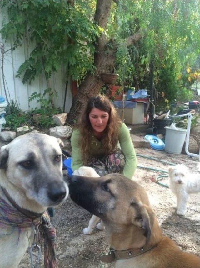 Kurtardığı K&ouml;pek İ&ccedil;in İsko&ccedil;ya&rsquo;dan Geldi 1