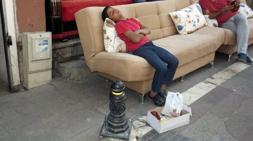 Hayatın Yorgunluğuna Dayanamayıp Uyuyakaldı