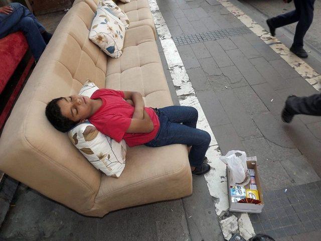 Hayatın Yorgunluğuna Dayanamayıp Uyuyakaldı 1