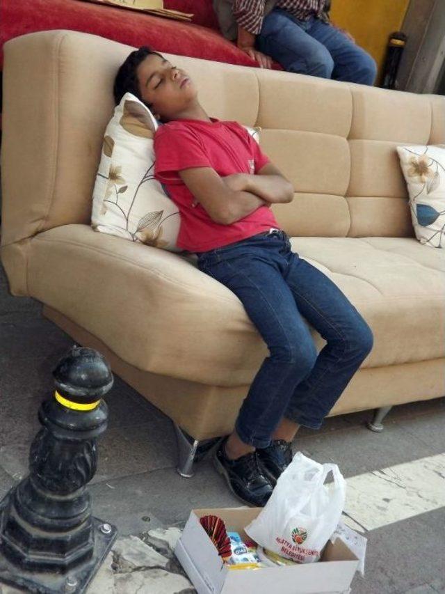 Hayatın Yorgunluğuna Dayanamayıp Uyuyakaldı 2