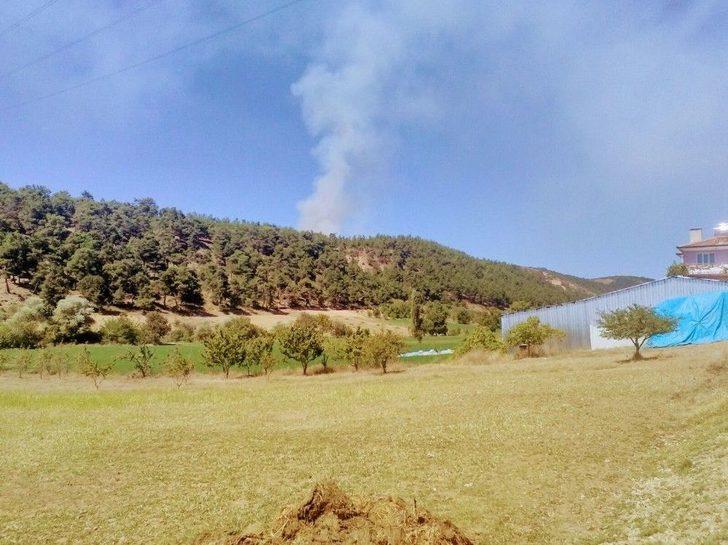 Bursa’da Orman Yangını Çıktı