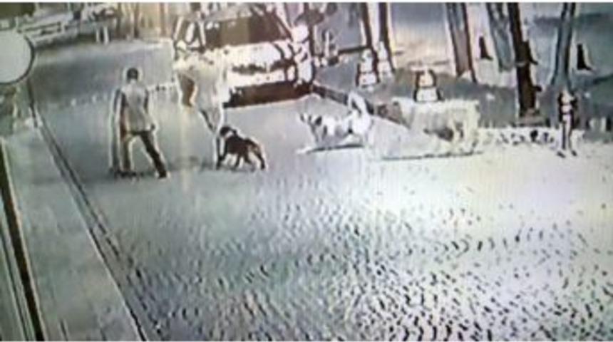 (&ouml;zel Haber) G&ouml;kt&uuml;rk&rsquo;te Sokak K&ouml;pekleri Bir Genci B&ouml;yle Isırdı