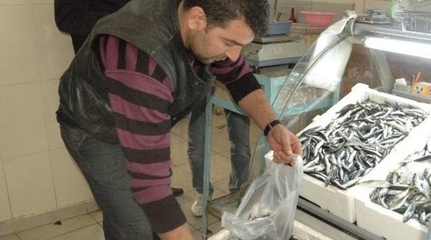 Adıyaman&rsquo;da Deniz Balığına İlgi Arttı