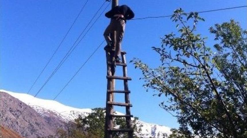 Karanlıkta Kalan Mahalleye Yeniden Elektrik Verildi