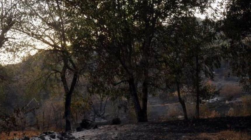 Tokat&rsquo;Ta Orman Yangını Kontrol Altına Alındı