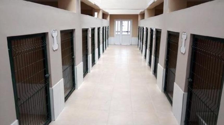 Bolu Hayvan Hastanesi'nde T&uuml;m Hayvanların Bakım Ve Tedavisi Yapılıyor