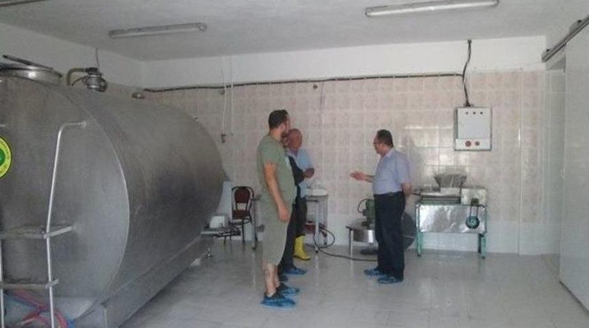 Koyunk&ouml;y S&uuml;t&uuml;ne Sahip &Ccedil;ıktı