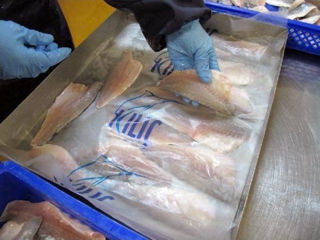 Türkiye Balık Tüketiminde Dünya Ortalamasının Gerisinde 1