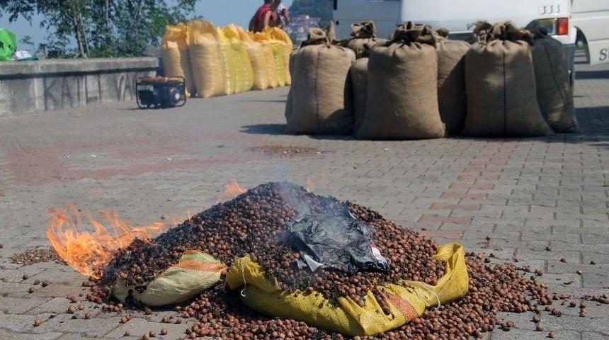 Fındık Fiyatını Fındığını Yakarak Tepki G&ouml;sterdi