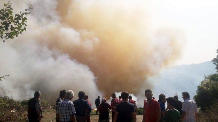 Kastamonu’da Çıkan Orman Yangını 24 Saatte Kontrol Altına Alındı G2