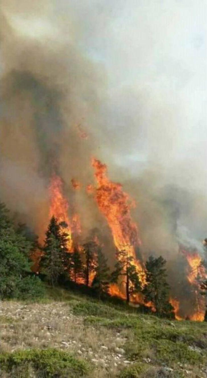 Kastamonu’da Çıkan Orman Yangını 24 Saatte Kontrol Altına Alındı G4