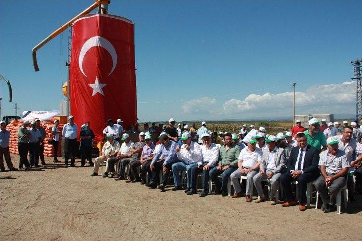 Edirne’de Çeltik Hasadı Törenle Başladı G3