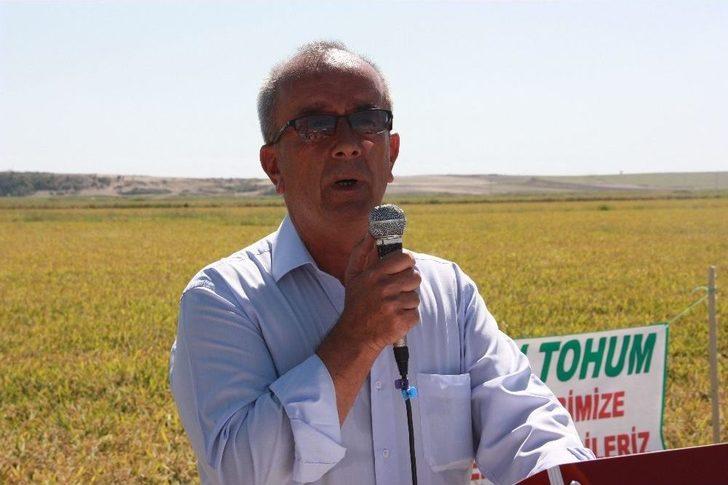 Edirne’de Çeltik Hasadı Törenle Başladı G4