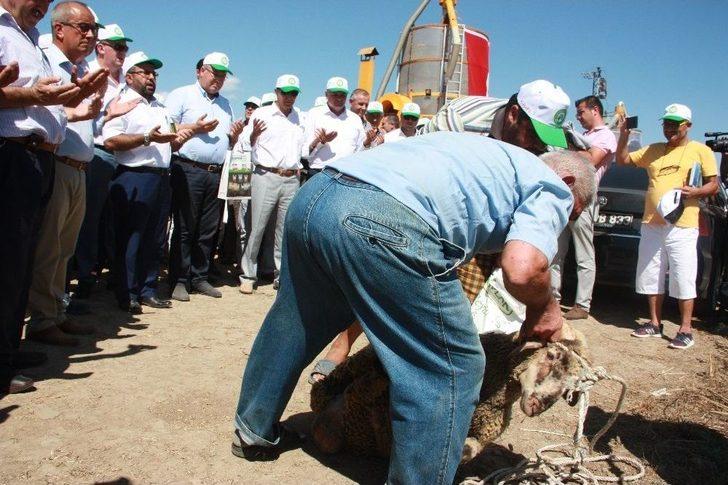 Edirne’de Çeltik Hasadı Törenle Başladı G5