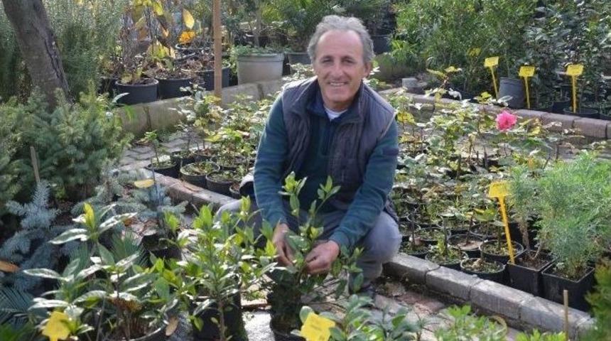 Fındığa Alternatif Ürün Arayışı